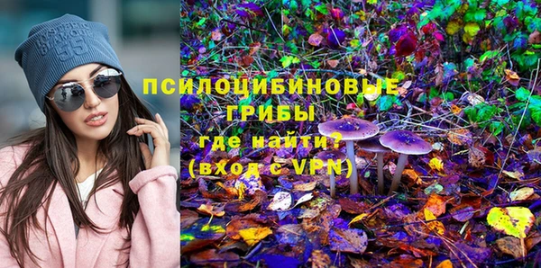 стаф Алексеевка