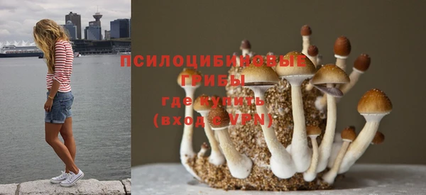 гидропоника Алексин