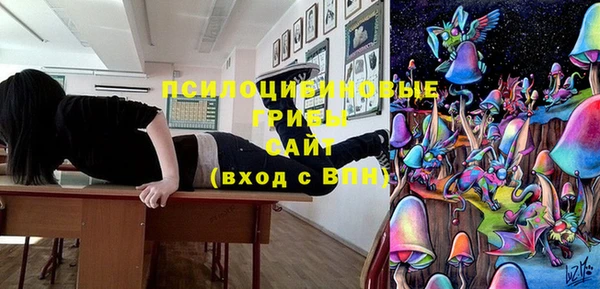 apvp Иннополис