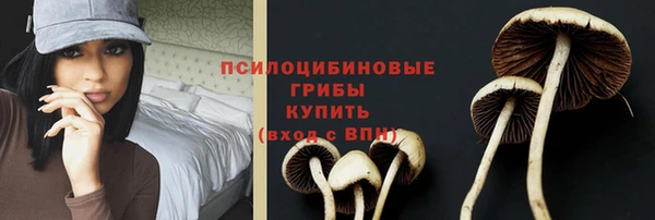 гидропоника Алексин