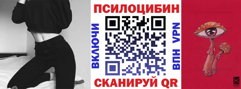 закладка  Макушино  Галлюциногенные грибы Psilocybine cubensis 